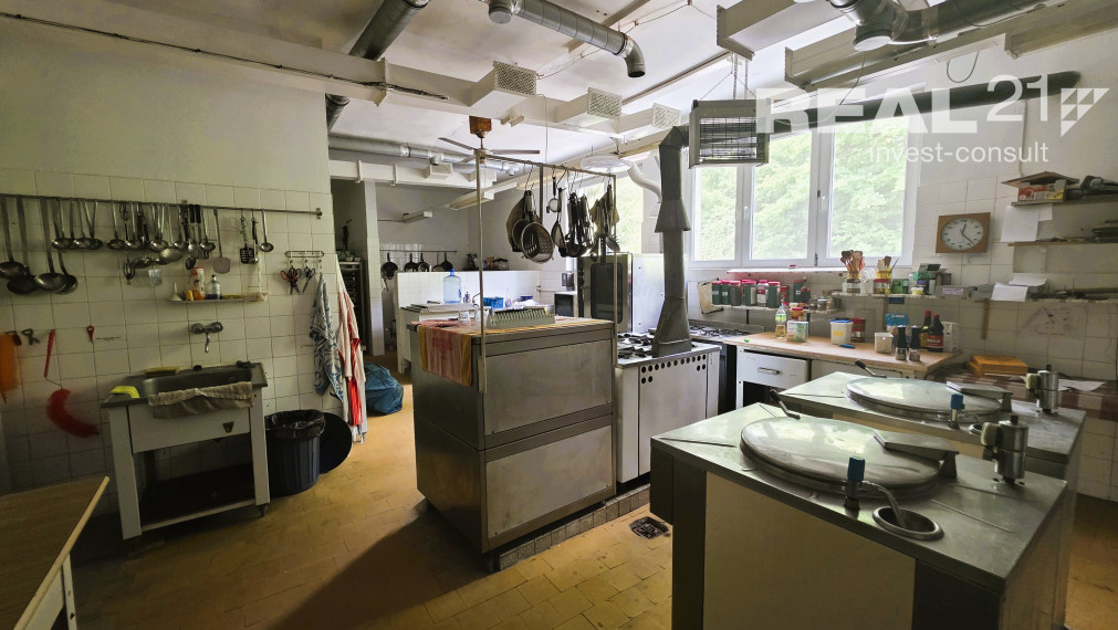 Zaujímavá investičná príležitosť. Rekreačný areál pri Mojtíne.